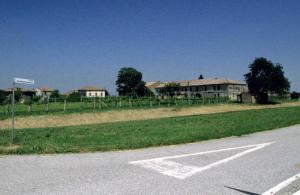 Corte Casteltrivellino - complesso
