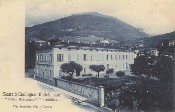 Società Enologica Valtellinese (ex)