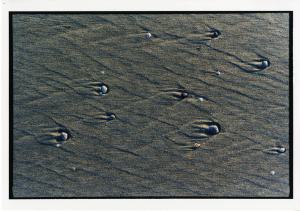 Oceano Atlantico - Spiaggia - Sabbia - Conchiglie - Sabbia con tracce di onde