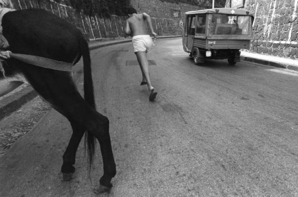Ragazzo corre a fianco di un camion e di un cavallo