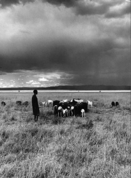 Pastore con gregge nei pressi di Nakuru Lake