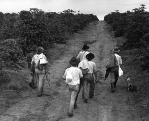 Un gruppo di contadini sul sentiero di ritorno verso casa