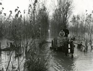 Provincia di Rovigo - inondazione del fiume Po - uomo e bambino - carro trainato da un cavallo