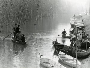 Provincia di Rovigo - inondazione del fiume Po - gruppo di barche con alluvionati - alberi sommersi