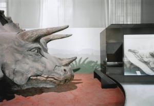 Cultura e arte. Milano - Museo di Storia Naturale, sala - Dinosauro, Triceratopo