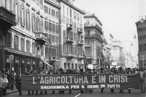 Italia: manifestazione dei contadini. Milano, Corso Venezia - Manifestazione, sciopero dei contadini - Corteo, uomini - Striscioni