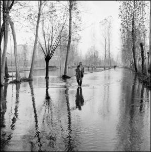 Lodi - Campagna allagata - Ritratto maschile: uomo con rami cammina nell'acqua - Alberi