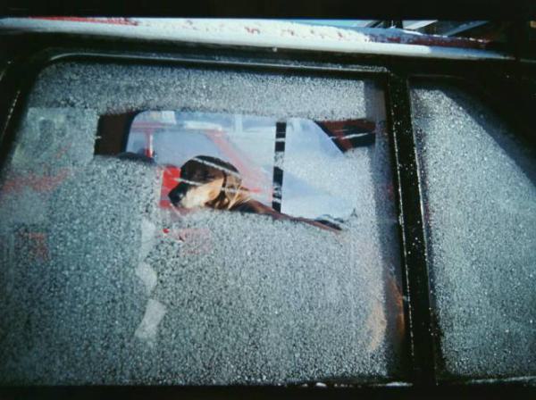 Cane chiuso in macchina visto attraverso il vetro brinato