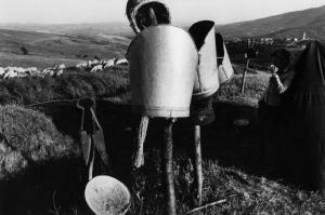 Lucania - Melfese - secchi per la mungitura delle pecore