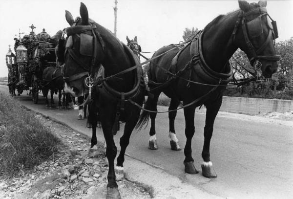 Processione religiosa - cavalli trainano una carrozza