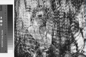 Ritratto femminile - donna - muro con pianta rampicante - edera