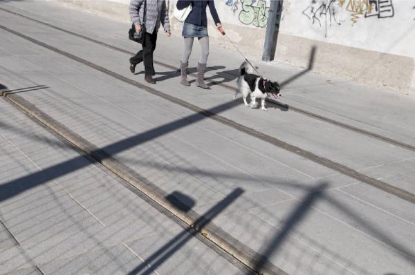 Tramsformazione. Milano - Cinisello Balsamo - Cantiere della metrotranvia - Binari - Persone a passeggio (particolare delle gambe) - Cane