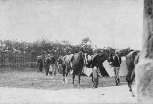 Militari e cavalli -- Villafranca di Verona - Dossobuono (frazione)