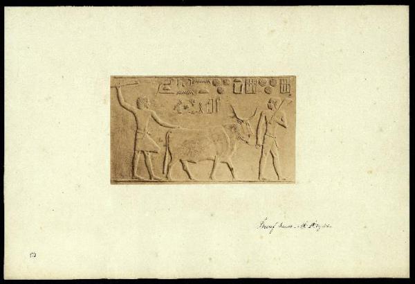 Bassorilievo - Bue condotto al sacrificio da due sacerdoti - Egitto - Abydos