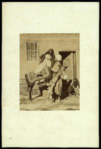 Ritratto di gruppo - Donna velata che monta su un asino aiutata da un uomo - Egitto