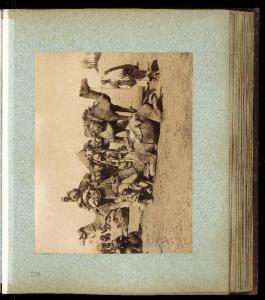 Ritratto di gruppo maschile - Carovanieri con cammelli - Africa settentrionale