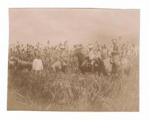 Guerra russo-giapponese - Ritratto di gruppo maschile - Militari - Addetti militari esteri al campo russo a cavallo in un campo di sorgo - Russia - Manciuria