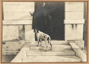 Ritratto maschile - Carlo Del Greco con cani da caccia - Venezia
