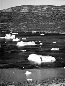 Groenlandia occidentale - Nord dell'Oceano Atlantico - Baia Allison - Icebergs