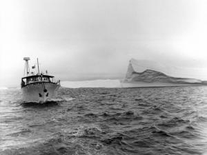 Groenlandia occidentale - Nord dell'Oceano Atlantico - Baia di Baffin - Barca - "Franz Terzo" - Icebergs