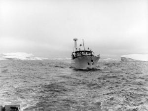 Groenlandia occidentale - Nord dell'Oceano Atlantico - Baia di Baffin - Barca - "Franz Terzo" - Icebergs