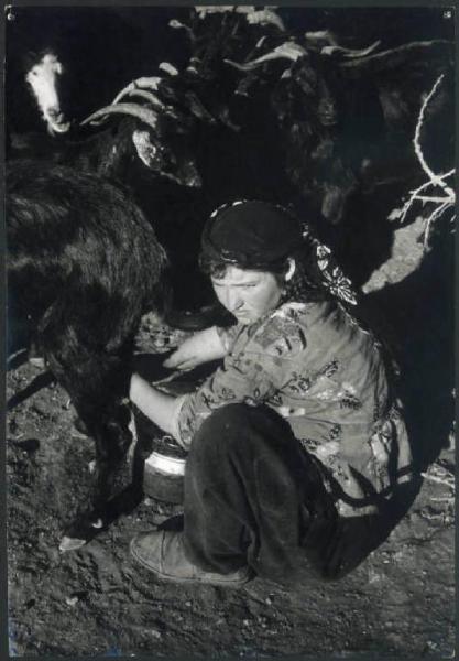 Anatolia - Donna che munge una capra