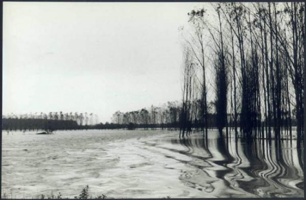 Acquanegra sul Chiese - Alluvione - Confluenza tra i fiumi Oglio e Chiese