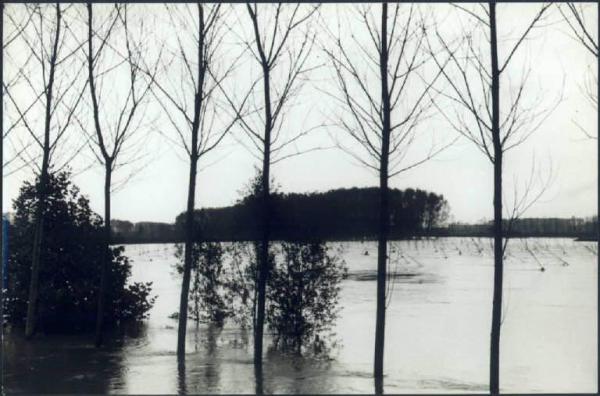 Acquanegra sul Chiese - Alluvione - Confluenza del fiume Chiese nel fiume Oglio