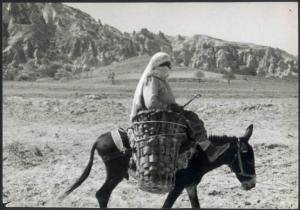 Anatolia - Donna in sella ad un asino