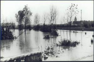Acquanegra sul Chiese - Alluvione