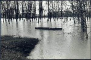 Calvatone - Alluvione - Fiume Oglio