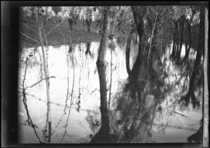 Barna - Alluvione - Campagna allagata