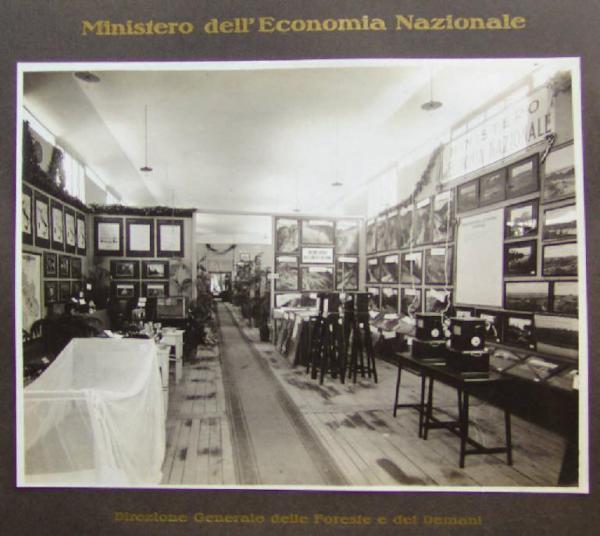 Napoli - Mostra nazionale delle bonifiche - Sezione dedicata alla Direzione generale delle foreste e dei demani