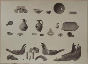 Pavimentazione ed utensili domestici in terracotta - Utensili domestici e suppellettili sepolcrali in terracotta e vetro - Resta di ossa di animali