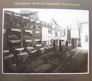 Napoli - Mostra nazionale delle bonifiche - Sezione dedicata alla Direzione generale dell'agricoltura