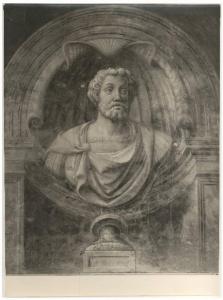 Affresco - Busto virile - Giulio Romano - Mantova - Palazzo Te - Sala dei Cavalli - Parete nord