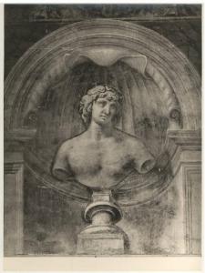 Affresco - Busto di Antinoo - Giulio Romano - Mantova - Palazzo Te - Sala dei Cavalli - Parete nord