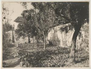 Pietole - Giardino annesso alla chiesetta di S. Nicolò (?) - Località dell'abitazione di Virgilio
