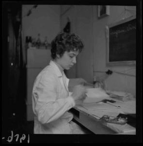 Ritratto femminile - Donna in camice bianco seduta al tavolo di lavoro - Interno