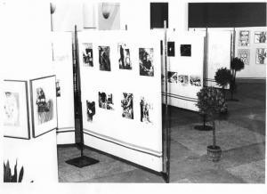 Camera del Lavoro - Interno - Mostra fotografica e del disegno - Pannelli con quadri