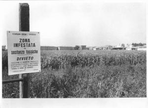 Campo di grano - Zona infestata da sostanze tossiche - Seveso inquinato - Cartello dei Comuni di Meda e Seveso