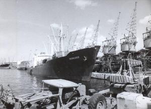 Trieste - Sciopero lavoratori portuali - Porto - Navi e gru fermi sulle banchine deserte