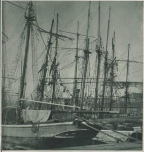 Genova - Velieri nel porto