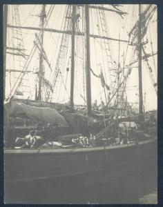 Genova - Velieri nel porto