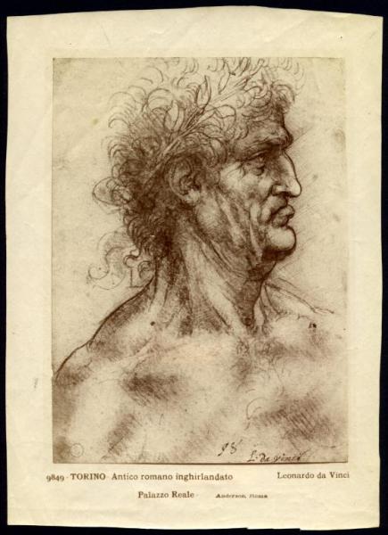 Disegno - Testa d'uomo inghirlandato - Leonardo da Vinci - Torino - Biblioteca Reale