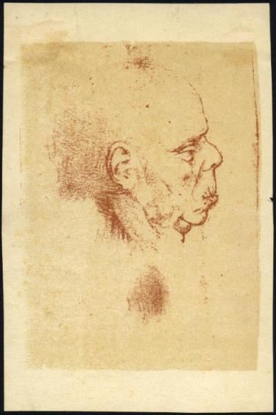 Disegno - - Studio per testa d'uomo di profilo con espressione grottesca - Scuola di Leonardo da Vinci - MIlano - Biblioteca Ambrosiana - F 274 inf. n. 22