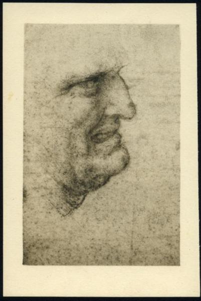 Disegno - Volto d'uomo di profilo con espressione grottesca - Leonardo da Vinci - Venezia - Gallerie dell'Accademia