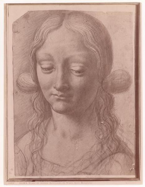 Disegno - Testa di donna - Maestro della Pala Sforzesca - Roma - Galleria Borghese - inv. 514