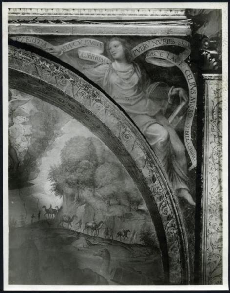 Dipinto murale - Sibilla Chimica - Bernardino Luini - Saronno - Santuario di Maria Vergine