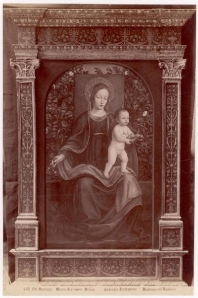 Dipinto - Madonna con Bambino - Ambrogio Bergognone - Milano (?) - Collezione Borromeo